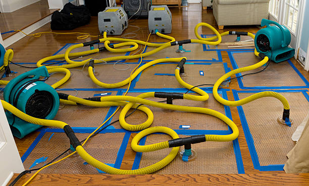 Professional Water Damage Repair technician working in Northfield, OH